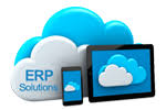 ERP Solution, E-Commerce Soltions